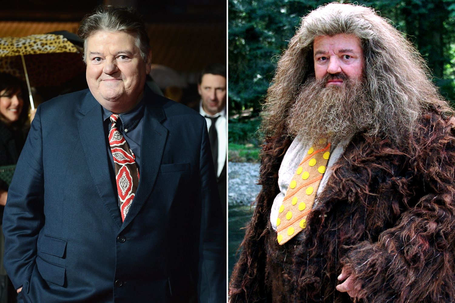 Robbie Coltrane, Hagrid from Harry Potter, Dies at 72 Years Old